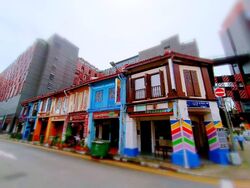 Little India Conservation Area (D8), Shop House #595448861